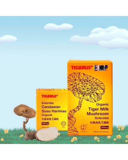 TIGERUS Organic Tiger Milk Mushroom Sclerotia (300mgx60’s)