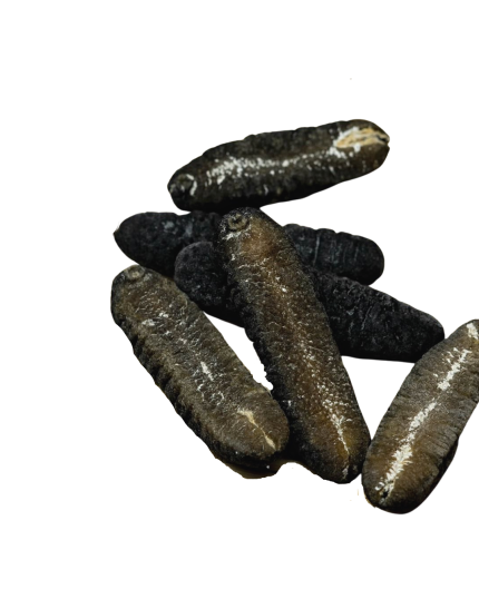 【HAI-O】SEA CUCUMBER (M) (300G)