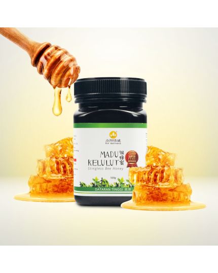 RH WELLNESS Madu Kelulut (500g)