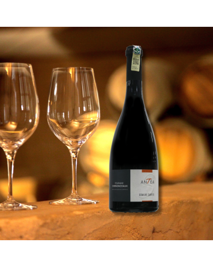 Domaine Sauvète Antea 13.5% (750ml)