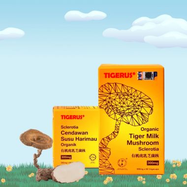 TIGERUS Organic Tiger Milk Mushroom Sclerotia (300mg x 60’s)