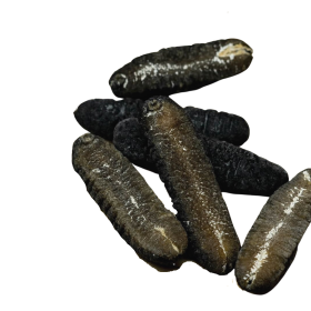 【HAI-O】SEA CUCUMBER (M) (300G)