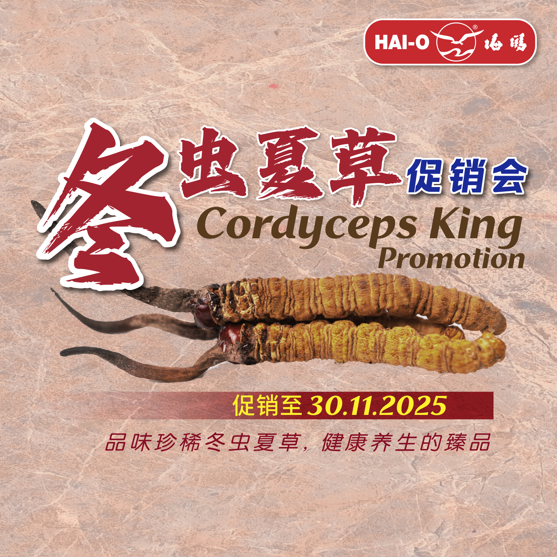 Cordyceps King Promotion @October 2025